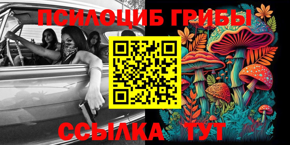Коряжма  Галлюциногенные грибы Psilocybe  Вход с VPN 