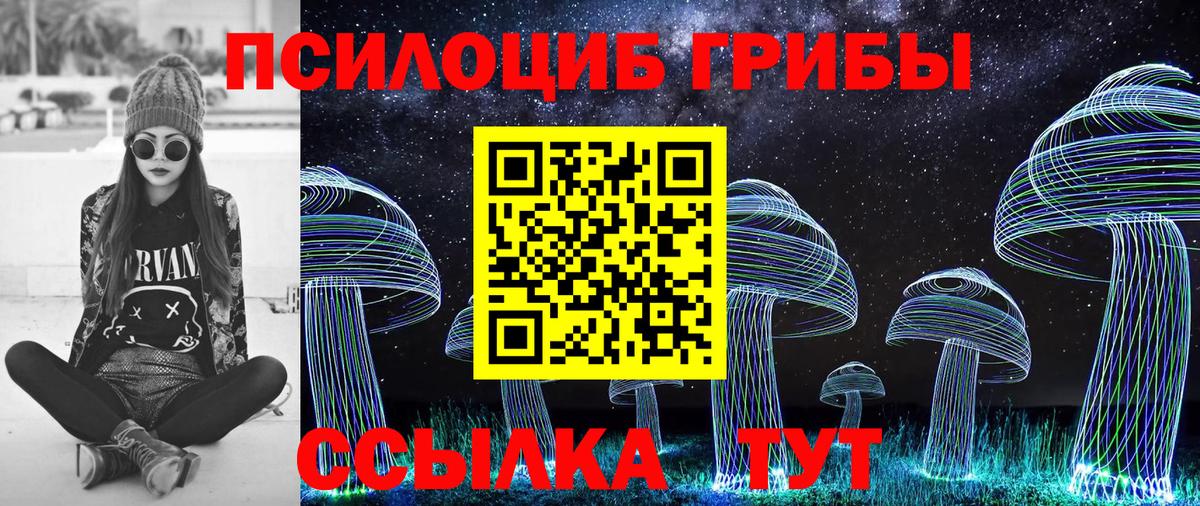 Псилоцибиновые грибы мицелий Коряжма